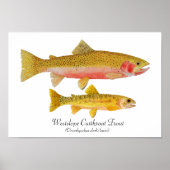 Westslope Cutkeet Trout Artwork Poster (Voorkant)