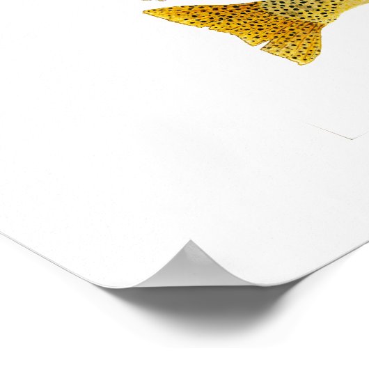 Westslope Cutkeet Trout Artwork Poster (Hoek)