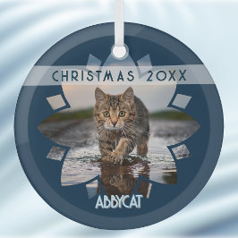 Wet Cat Photo Framed in Flower on Blue Glas Ornament