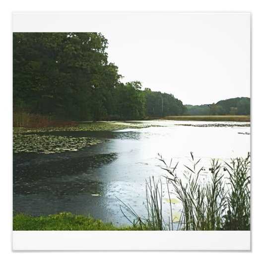 Wet Day Foto Afdruk (Voorkant)