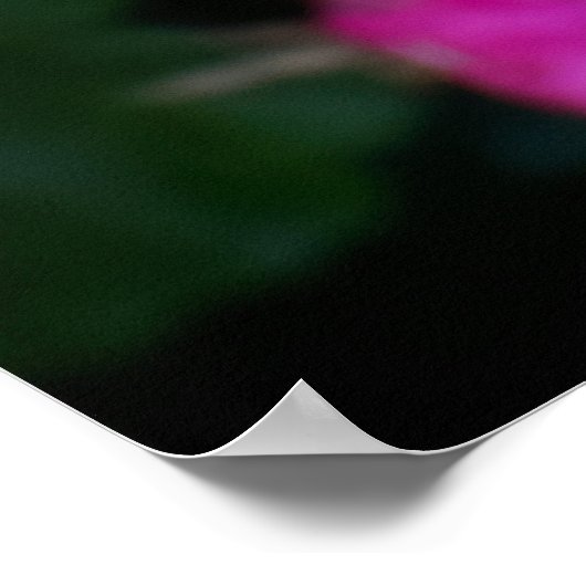 Wet Floral Poster (Hoek)