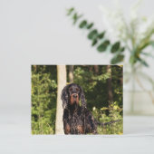 Wet Gordon Setter-Briefkaart Briefkaart (Staand voorkant)