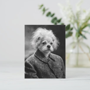 Wet-Harige WetenschapsHond in een Vintage Portret Briefkaart
