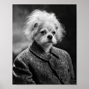 Wet-Harige WetenschapsHond in een Vintage Portret Poster