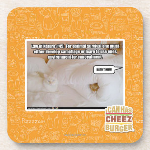 Wet op de Natuur #45 Drankjes Onderzetter