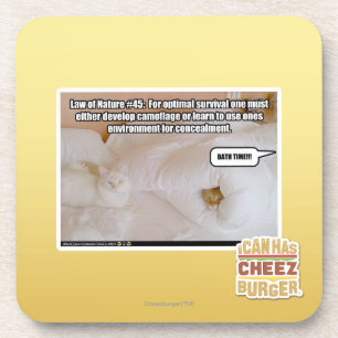 Wet op de Natuur #45 Drankjes Onderzetter