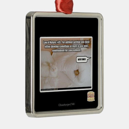 Wet op de Natuur #45 Metalen Ornament (Rechts)