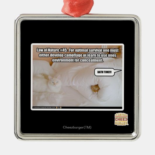 Wet op de Natuur #45 Metalen Ornament (Voorkant)