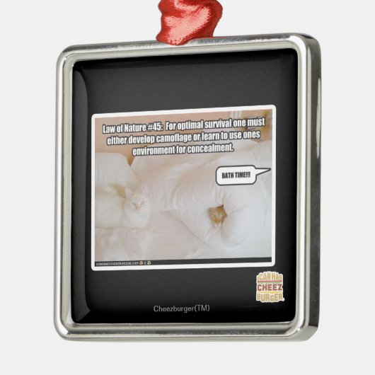 Wet op de Natuur #45 Metalen Ornament (Links)