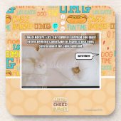 Wet op de Natuur #45 Onderzetter (Voorkant)