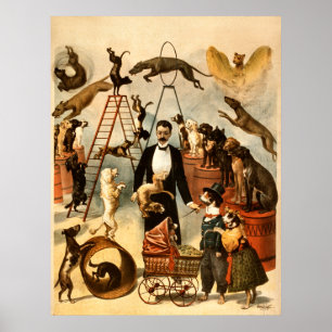 Wet op de opleiding van honden 1899 - Circus Act Poster