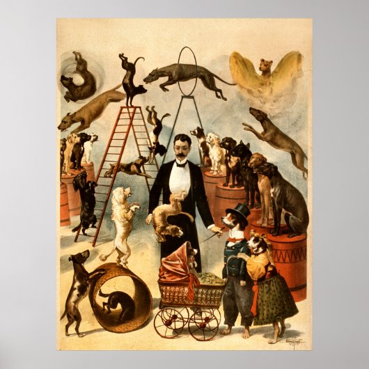 Wet op de opleiding van honden 1899 -  Circus Act Poster (Voorkant)
