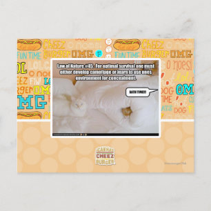 Wet van de Natuur #45 Briefkaart