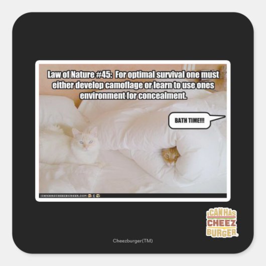 Wet van de Natuur #45 Vierkante Sticker (Voorkant)