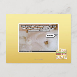 Wet van Natuur #45 Briefkaart