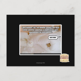 Wet van Natuur #45 Briefkaart