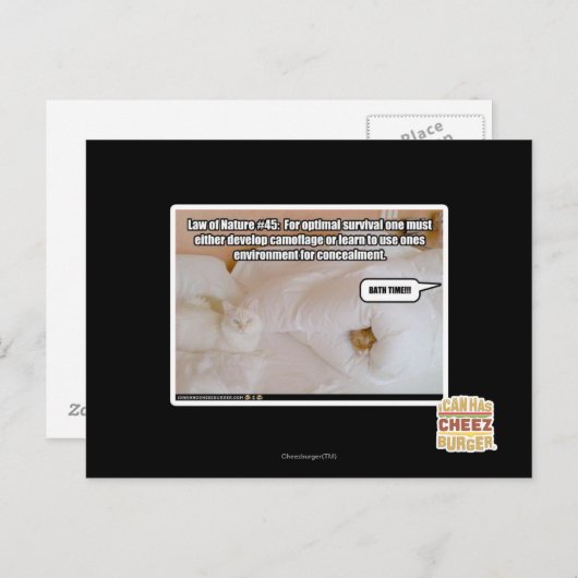 Wet van Natuur #45 Briefkaart (Voorkant / Achterkant)