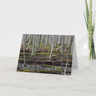 Wet Woodlands 7 x 5 Gevouwen Wenskaart - blank Kaart