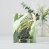 wetar island viper briefkaart (Staand voorkant)