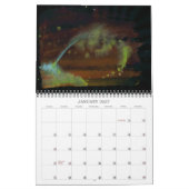 Wetdryvac.net 2010 kalender (Jan 2027)