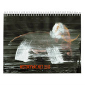 Wetdryvac.Net 2013 Kalender (Hoes)