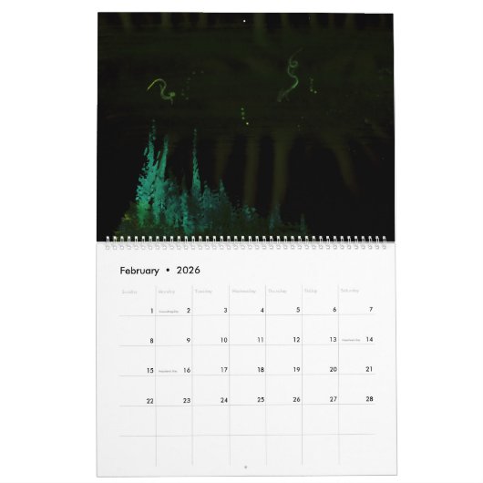 Wetdryvac Net 2016 Landscape Calendar Kalender (Feb 2026)