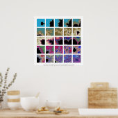 Weten ze echt waar dit naartoe gaat? poster (Keuken)