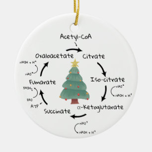 Wetenschap Biologie Krebs Cyclus Kerstmis Leraar N Keramisch Ornament