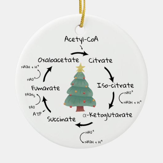 Wetenschap Biologie Krebs Cyclus Kerstmis Leraar N Keramisch Ornament (Voorkant)