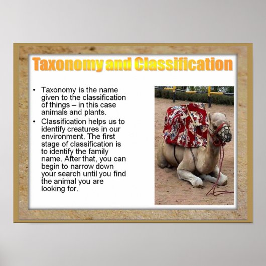 Wetenschap, biologie, Taxenomie en classificatie Poster (Voorkant)