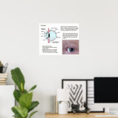 Wetenschap, biowetenschappen, het oog poster (Thuiskantoor)
