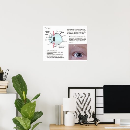 Wetenschap, biowetenschappen, het oog poster (Thuiskantoor)