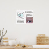 Wetenschap, biowetenschappen, het oog poster (Keuken)