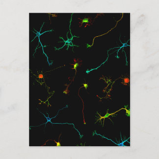 wetenschap briefkaart