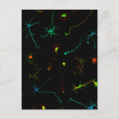 wetenschap briefkaart (Voorkant)