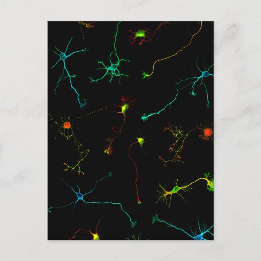 wetenschap briefkaart (Voorkant)