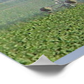 Wetenschap, Chemie, Chemicaliën in de landbouw Poster (Hoek)