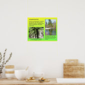 Wetenschap, Chemie, oplossingen, milieu Poster (Keuken)