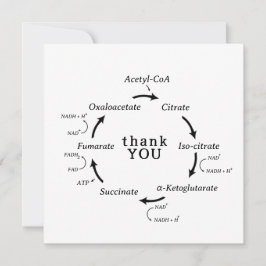 Wetenschap Dank je leraar Kreb's Cyclusbiologie