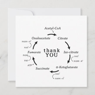 Wetenschap Dank je leraar Kreb's Cyclusbiologie