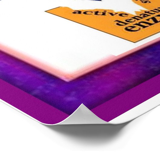 Wetenschap, Digestie, gedenatureerde enzymen Poster (Hoek)