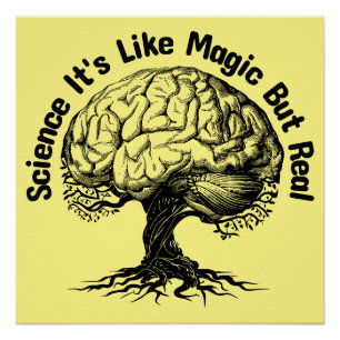 wetenschap het is als magie maar echt perfect poster