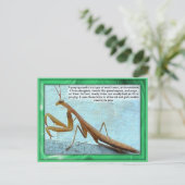 Wetenschap, Insecten, Praying Mantis Briefkaart (Staand voorkant)