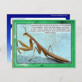 Wetenschap, Insecten, Praying Mantis Briefkaart (Voorkant / Achterkant)