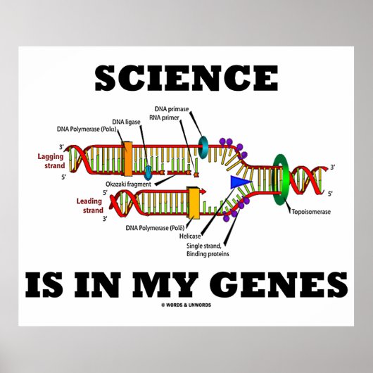 Wetenschap is in mijn genen (DNA-replicatie) Poster (Voorkant)