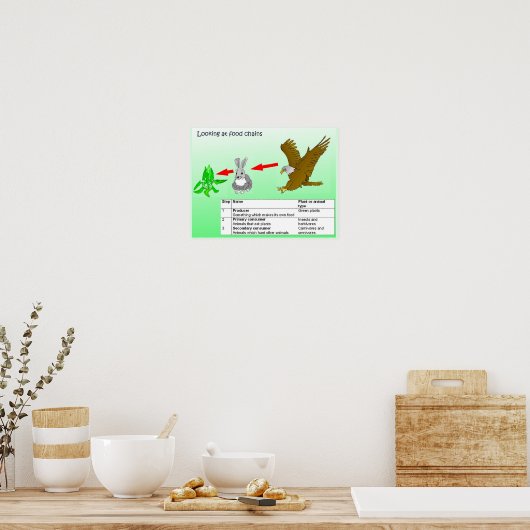 Wetenschap, kijk naar voedselketens poster (Keuken)