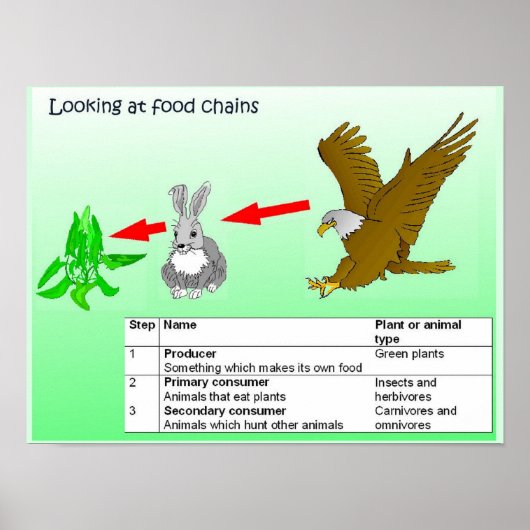 Wetenschap, kijk naar voedselketens poster (Voorkant)