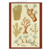 Wetenschap leerboek Biologie, koraaldieren (Voorkant)