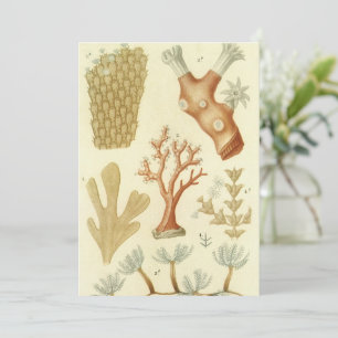 Wetenschap leerboek Biologie,  koraaldieren Kaart