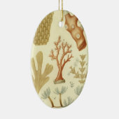 Wetenschap leerboek Biologie,  koraaldieren Keramisch Ornament (Rechts)